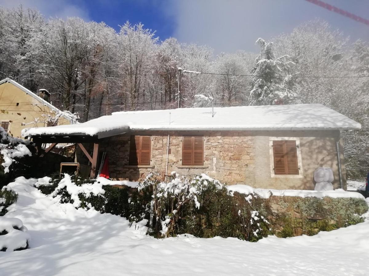 Gite Rural Les Maires D'Avaux Saint-Bresson Ngoại thất bức ảnh