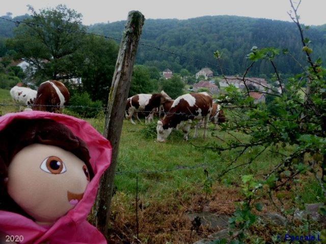 Gite Rural Les Maires D'Avaux Saint-Bresson Ngoại thất bức ảnh